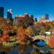 Best Solar Companies in New York