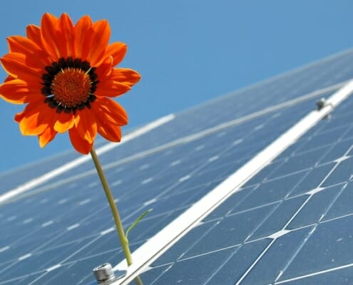 Solar Electric Power Has Hit a New Milestone in New York