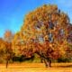 The SMART Solar Program in Bryn Mawr Park